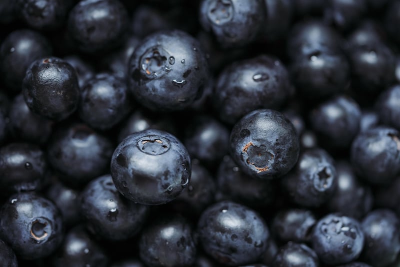 Superfoods Overview